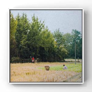 少女啊啊啊用力插少妇
